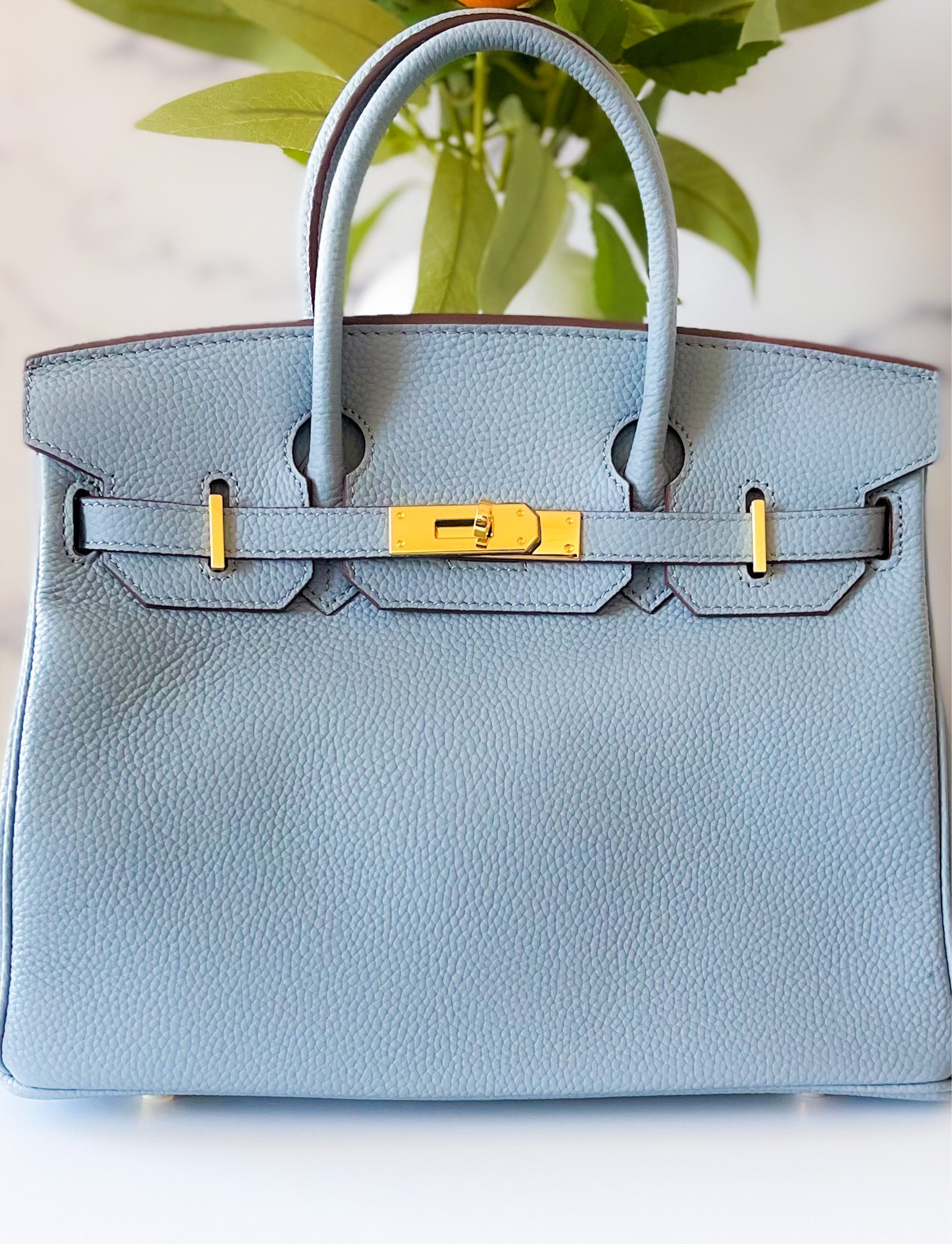 THE GWEN (Pre-Order Opens 9/1)