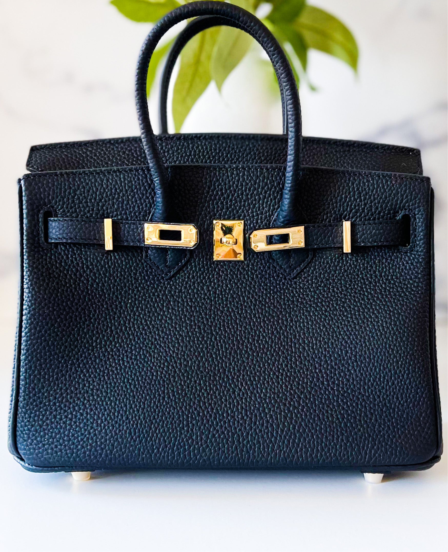 THE GWEN (Pre-Order Opens 9/1)