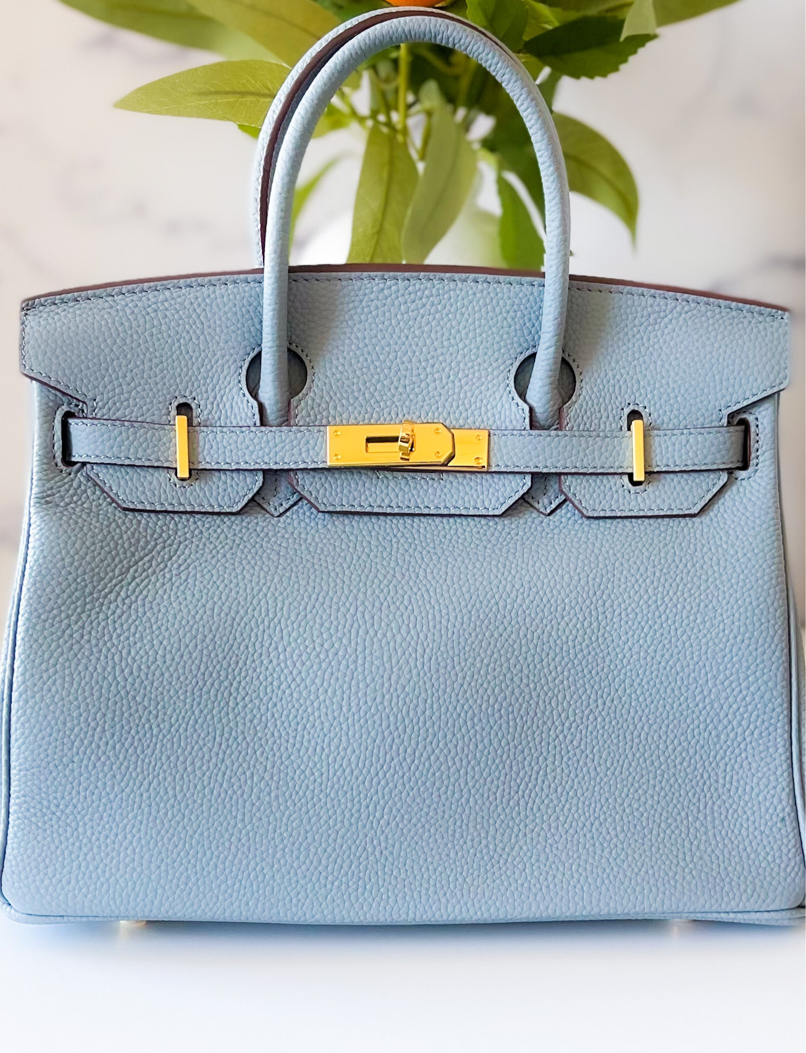 THE GWEN (Pre-Order Opens 9/1)