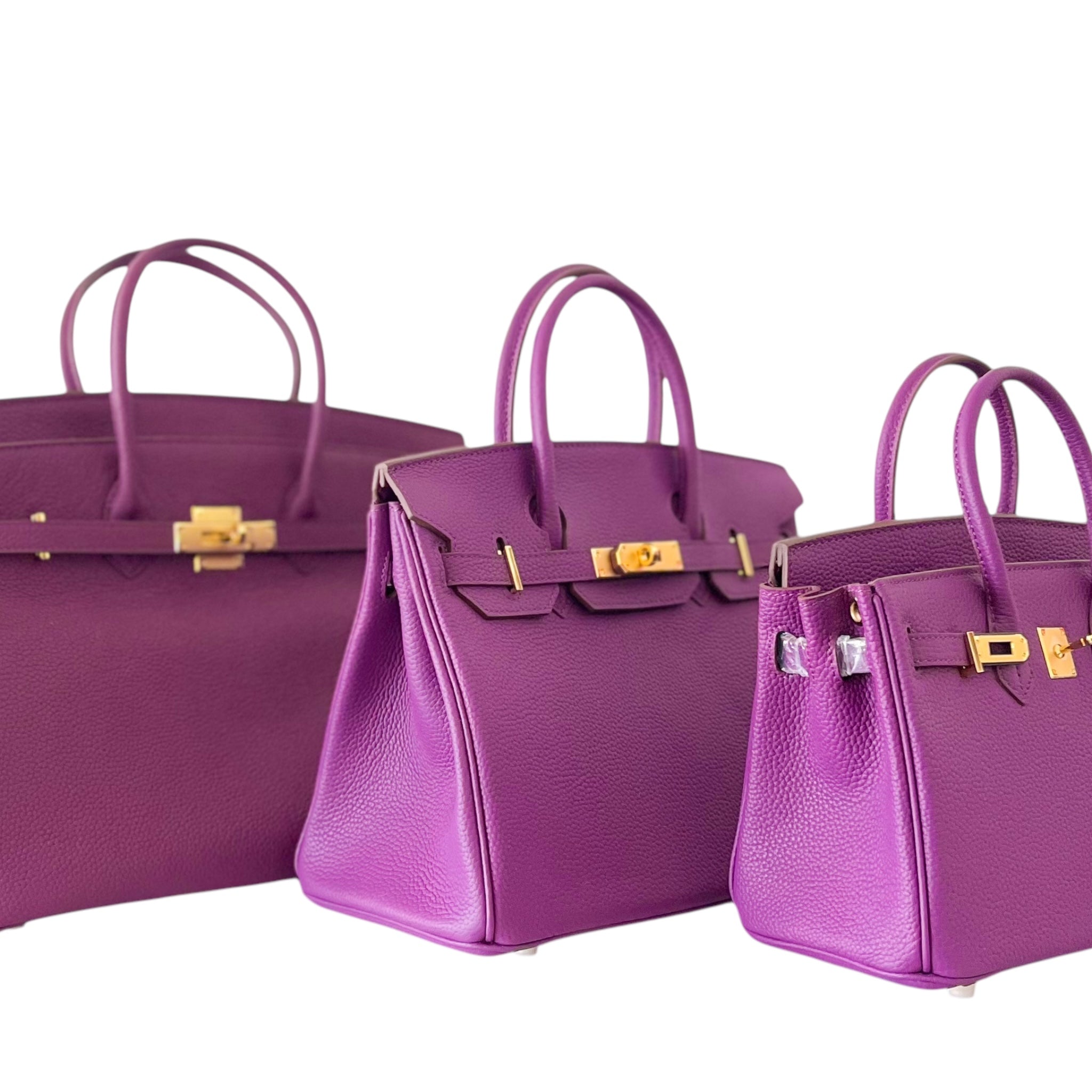 THE GWEN (Pre-Order Open Now)