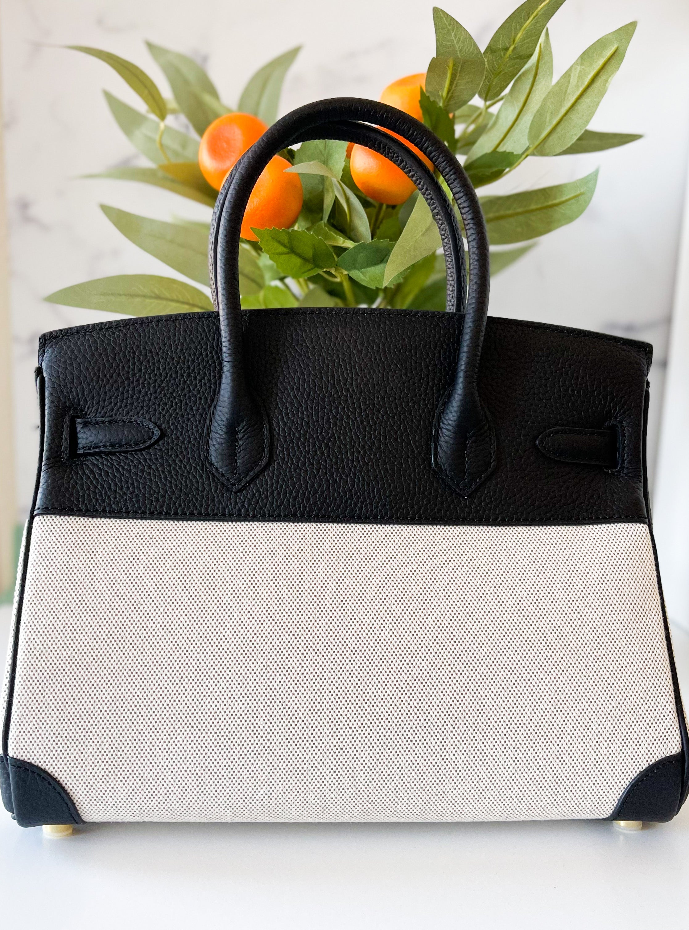 THE FANNIE - thebagicon