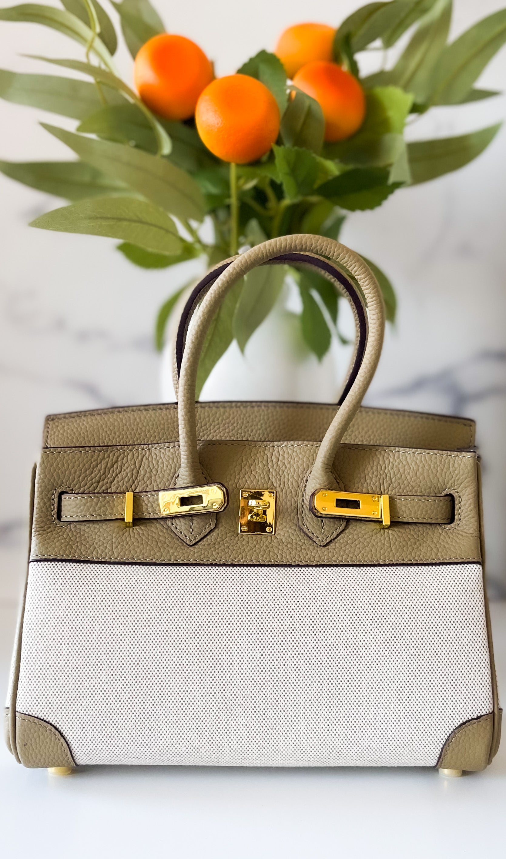 THE FANNIE - thebagicon