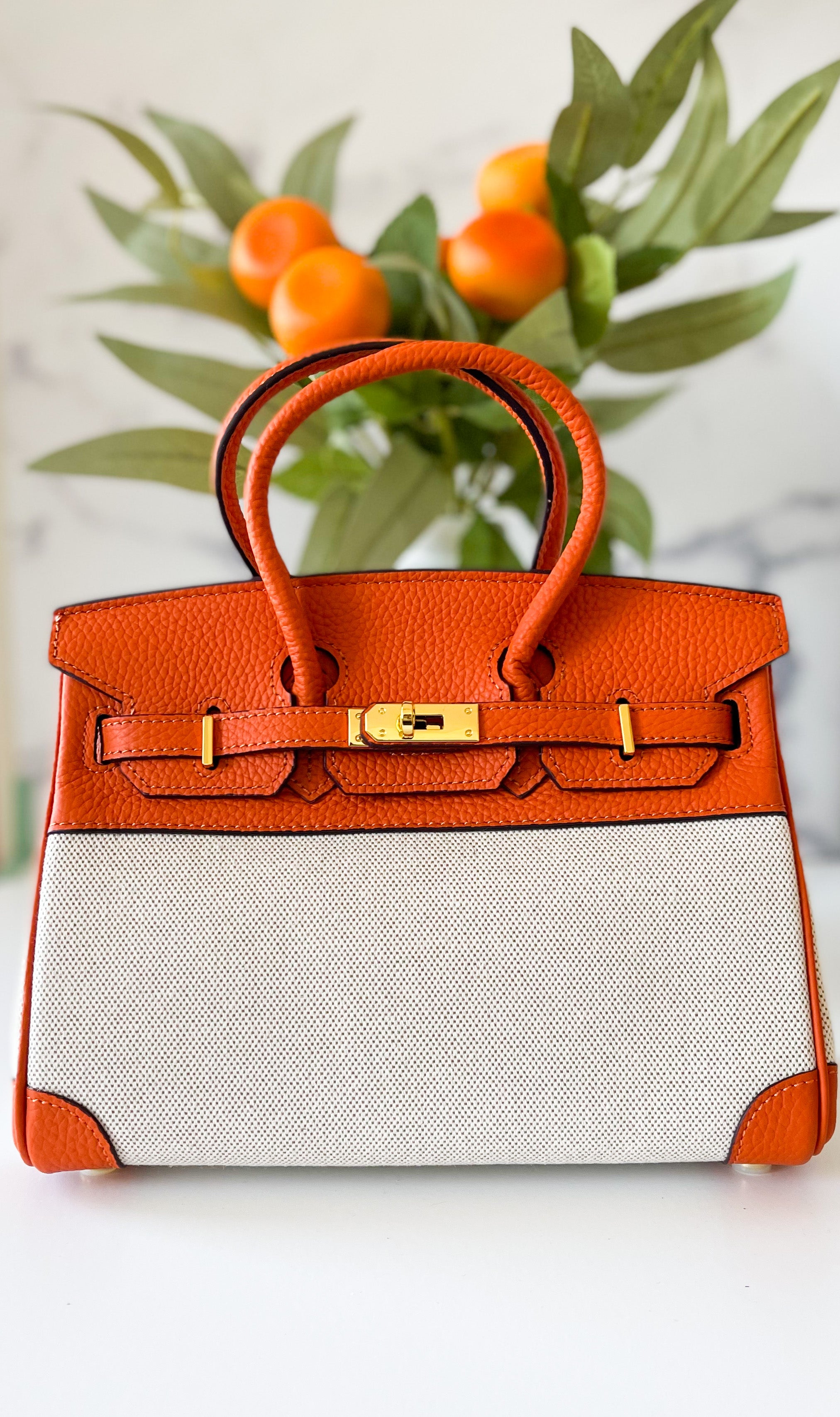 THE FANNIE - thebagicon