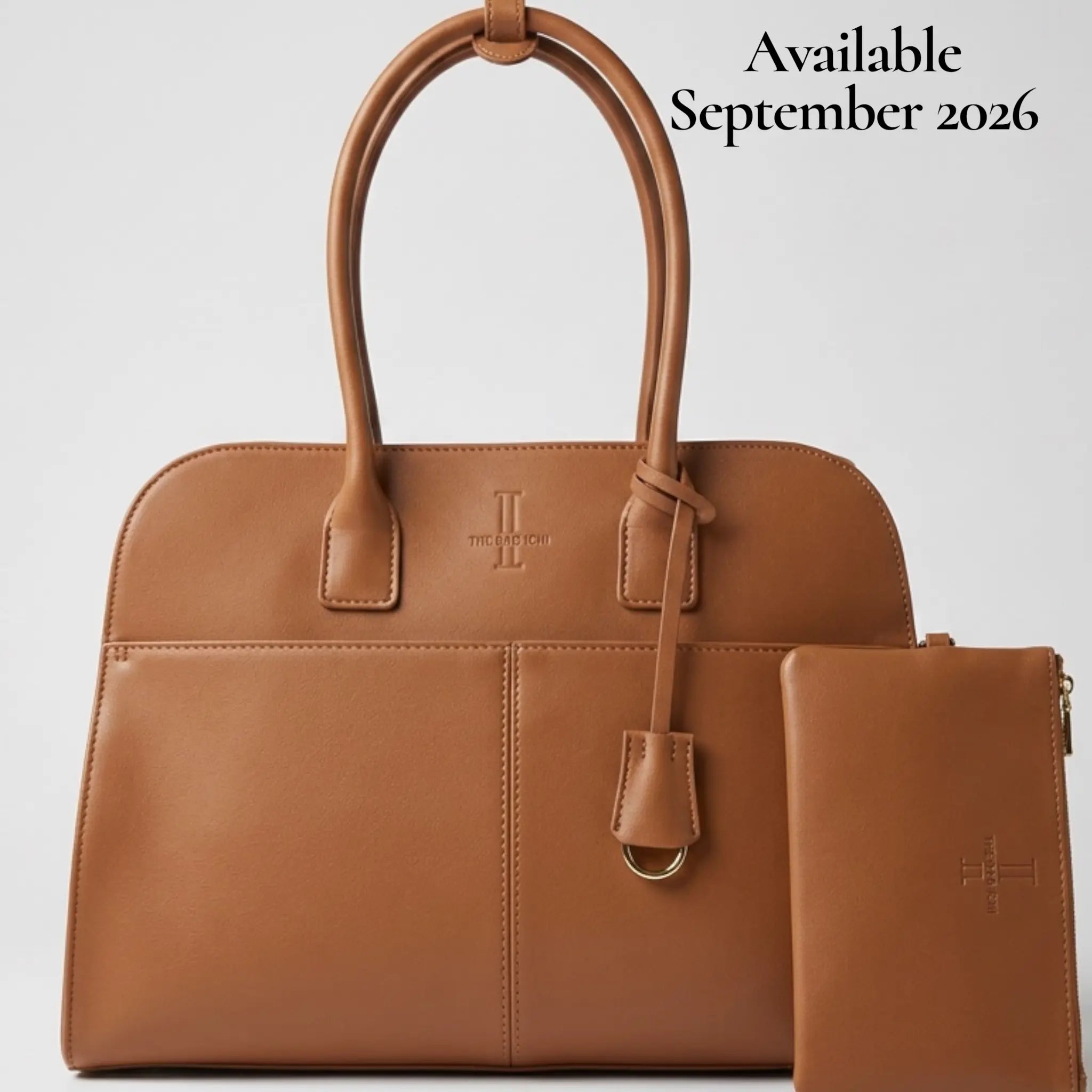 THE ST. CYR MODERN TOTE BAG thebagicon