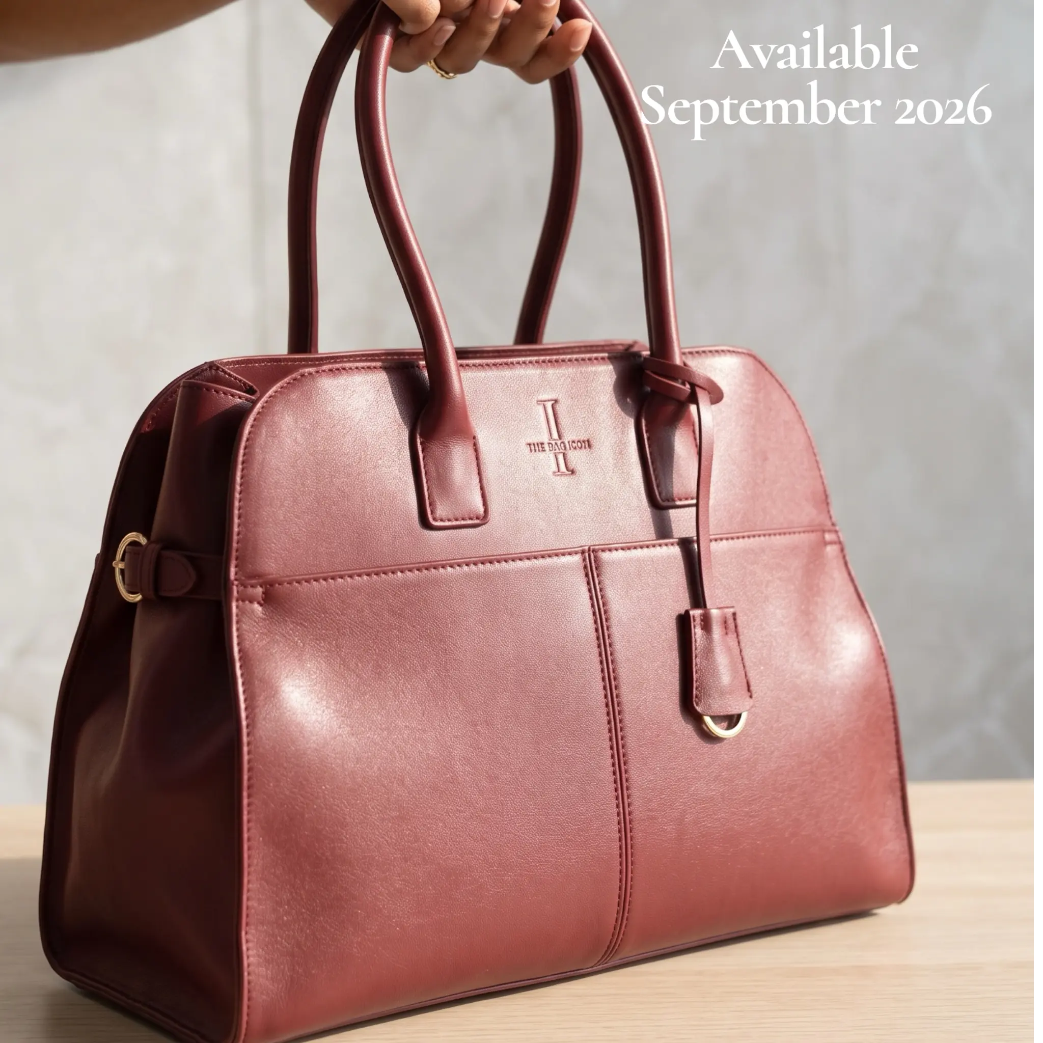 THE ST. CYR MODERN TOTE BAG thebagicon